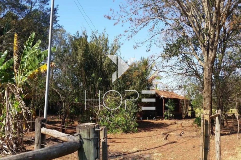 Imagens do imóveis Fazenda à Venda - 19 Alqueires - Dupla Aptidão - Região de Prata MG - Entre Prata e Uberlândia - Triângulo Mineiro