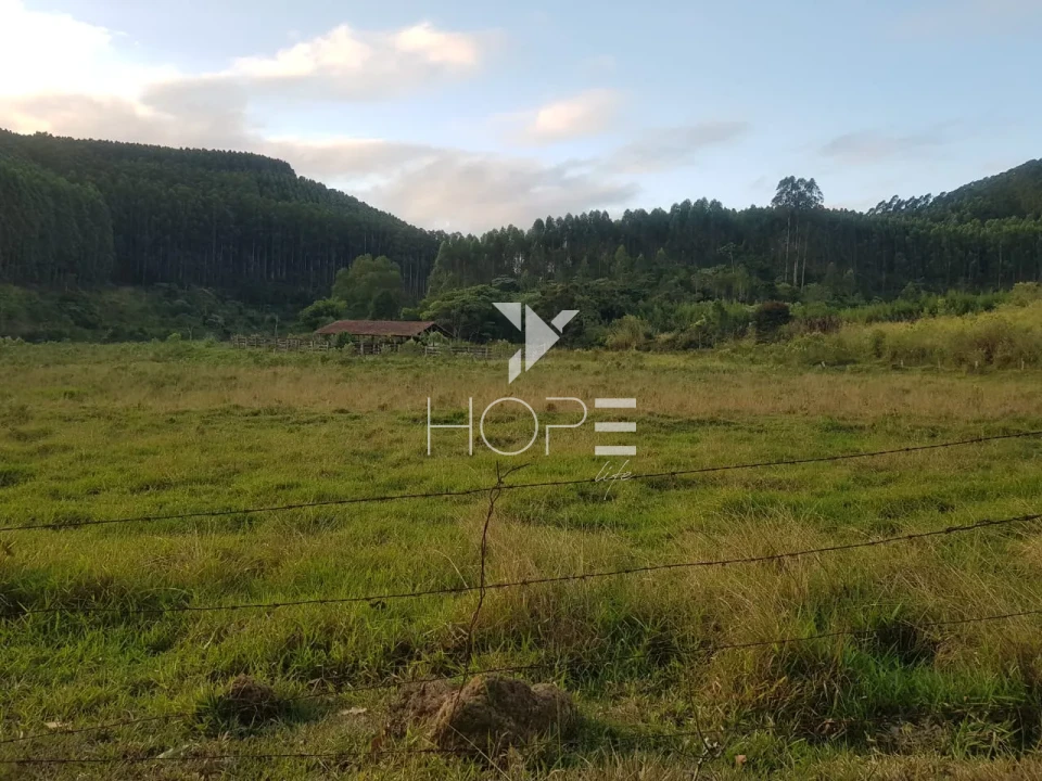 Imagens do imóveis Fazenda de eucalipto à venda com 124 alqueires - alto potencial florestal - Vale do Paraíba - Paraíbuna SP
