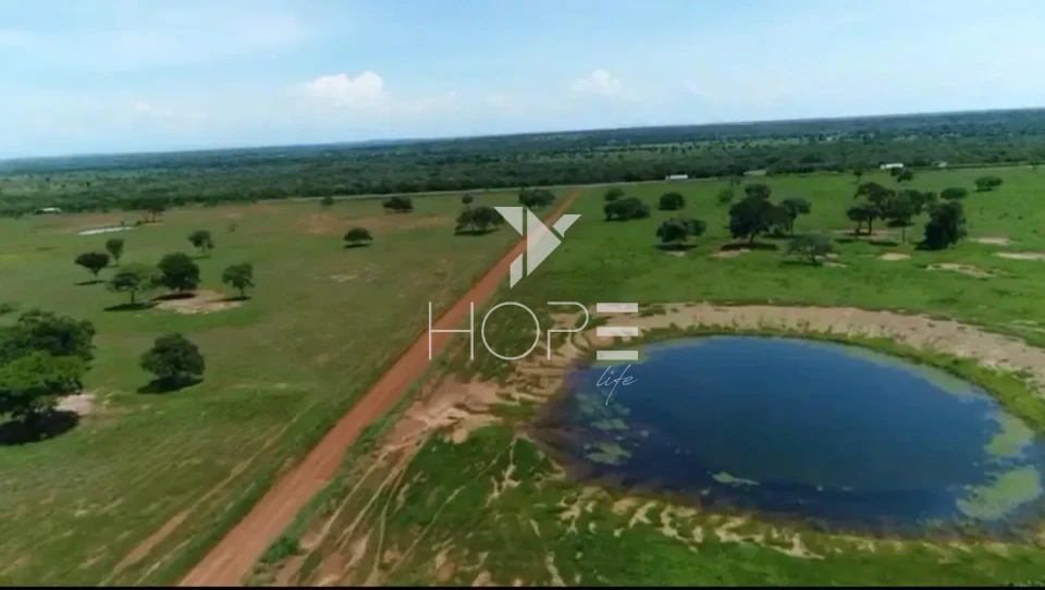 Imagens do imóveis Fazenda de dupla aptidão à venda com 1.765 alqueires - 8.543 hectares - porteira fechada - Alvorada do Norte GO