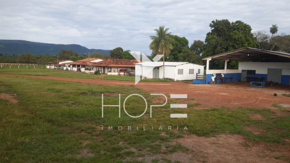 Fazenda à Venda em Formosa/GO – 1.002 Alqueires – Dupla Aptidão – Porteira Fechada