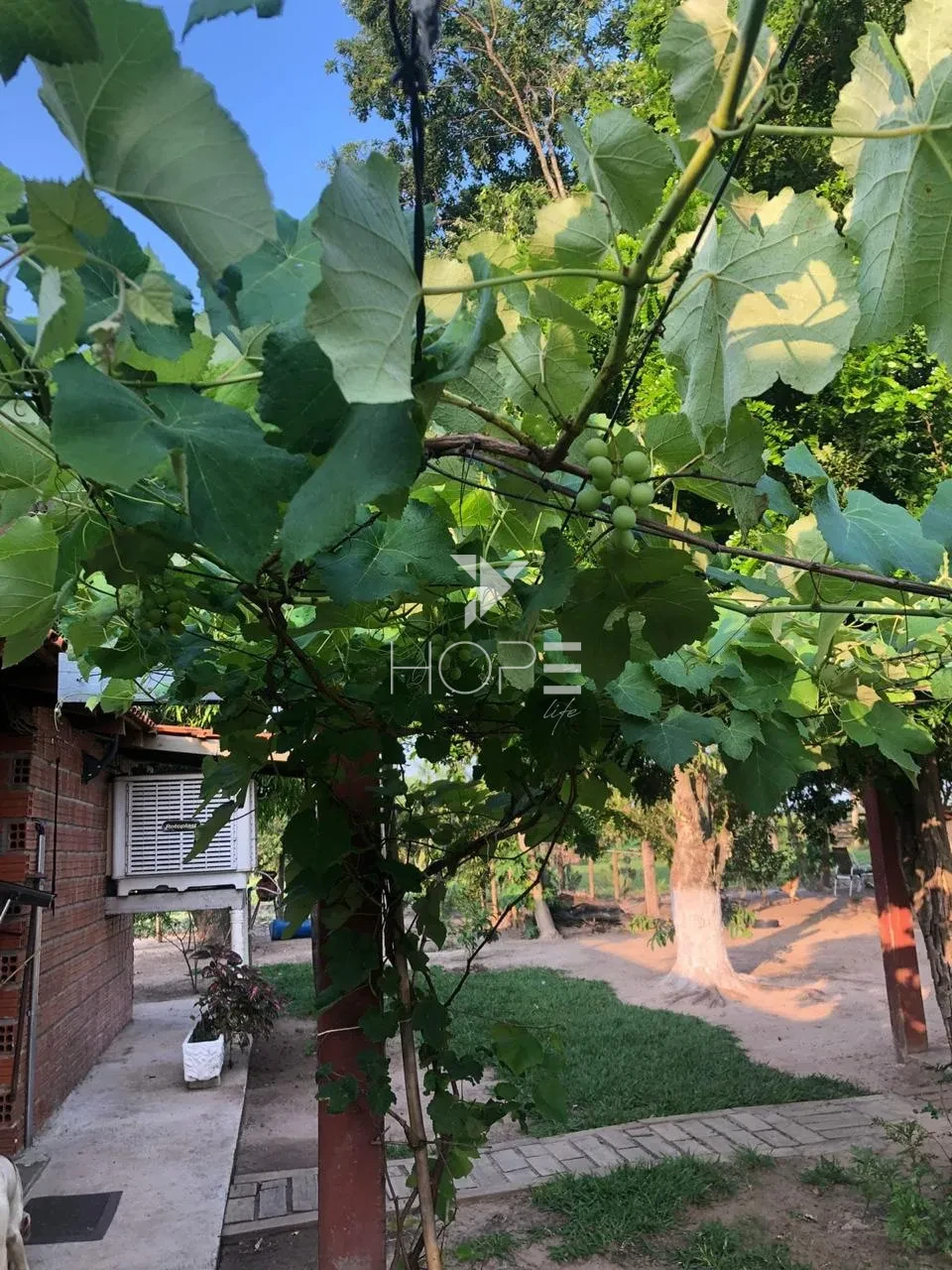 Imagens do imóveis Fazenda à venda com 57 alqueires - dupla aptidão - rio nos fundos - Batayporã MS