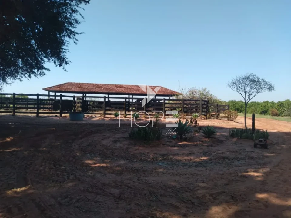 Imagens do imóveis Fazenda de laranja à venda com 77.5 alqueires - 77.150 pés - certificado para exportação - Região de Marília SP