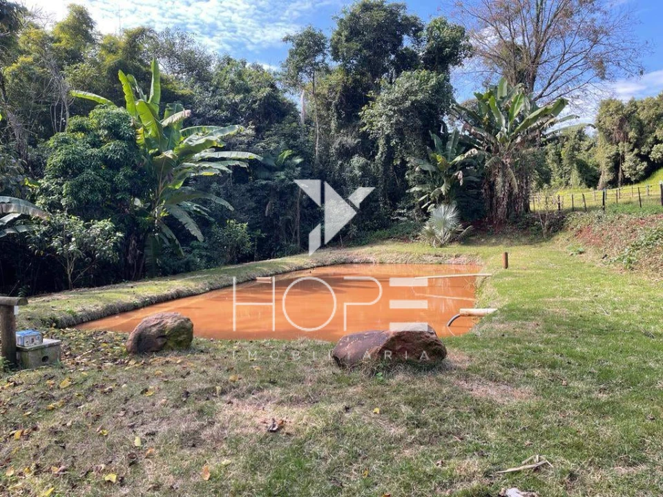 Imagens do imóveis Haras de Alto Padrão à Venda – 2 Alqueires – BR 369 – Rolândia PR