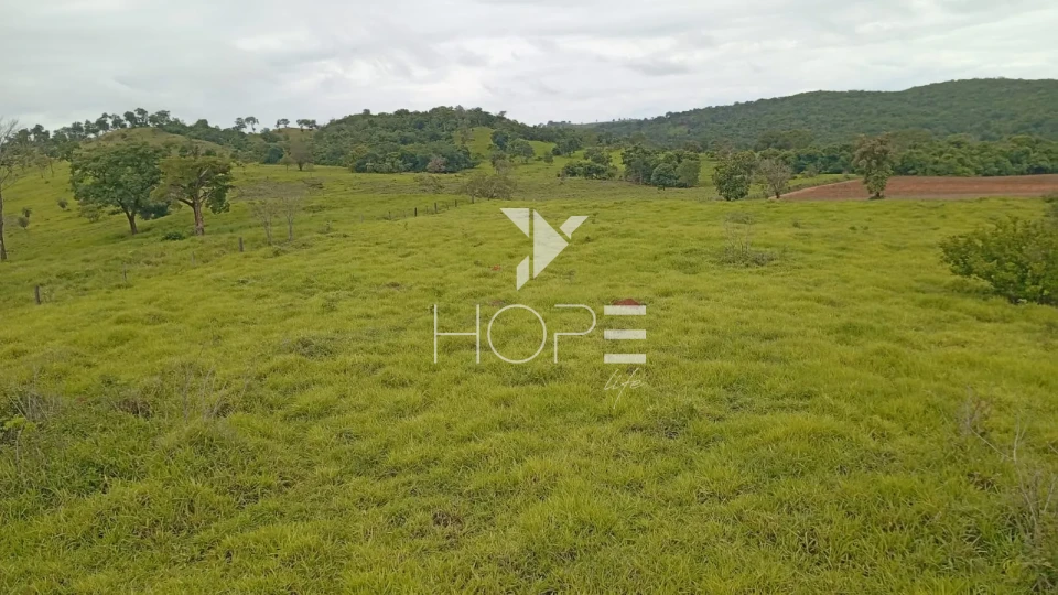 Imagens do imóveis Fazenda à venda com 260 alqueires - 201 formados - confinamento - apta para pivô - Mozarlândia GO