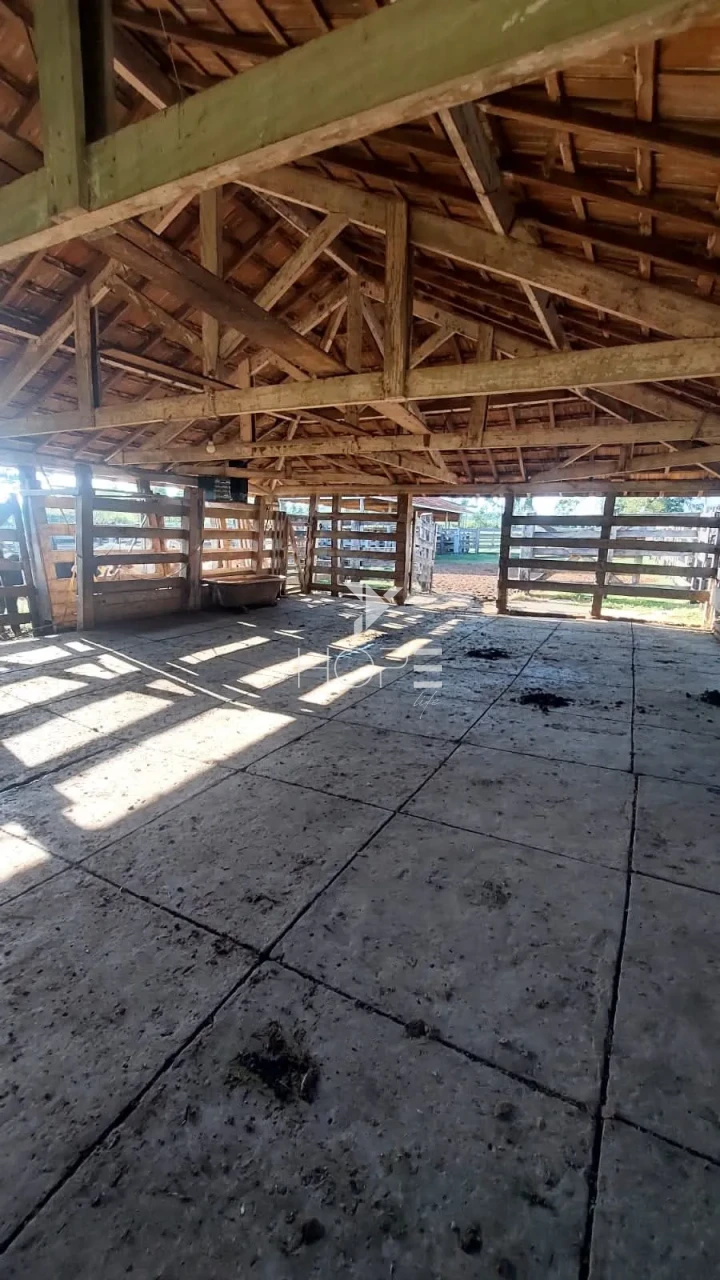 Imagens do imóveis Fazenda à venda com 204.5 alqueires - pecuária bovina - estrutura completa - região de Marília SP