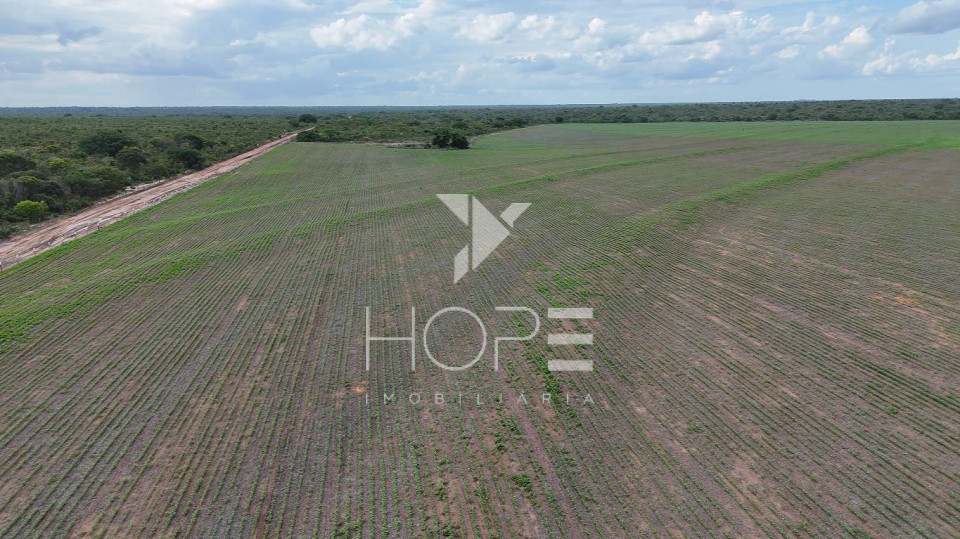 EXCELENTE FAZENDA DE 9300 HECTARES A VENDA EM BAIANÓPOLIS - BAHIA