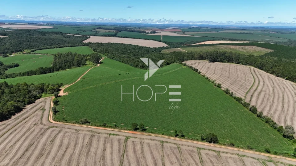 Imagens do imóveis Fazenda à venda com 75 alqueires (181.5 hectares) - agricultura e eucalipto - São Miguel Arcanjo SP