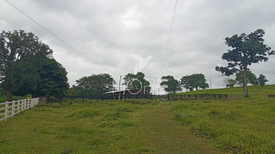 Imagens do imóveis Fazenda à venda com 260 alqueires - 201 formados - confinamento - apta para pivô - Mozarlândia GO