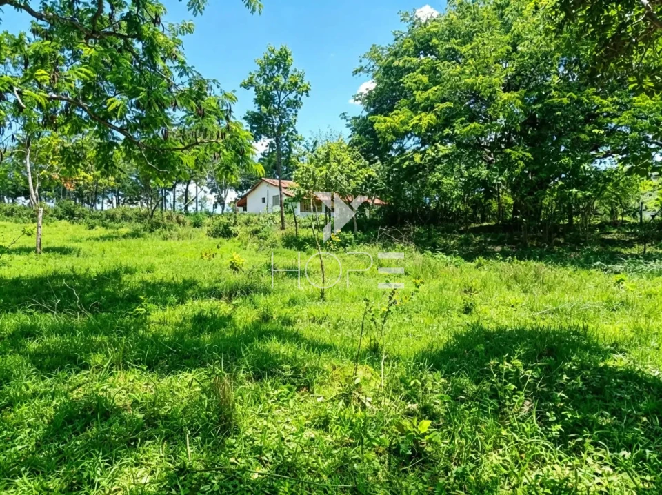 Fazenda à Venda com Aptidão Pecuária – 364 Hectáres – Três Marias/MG