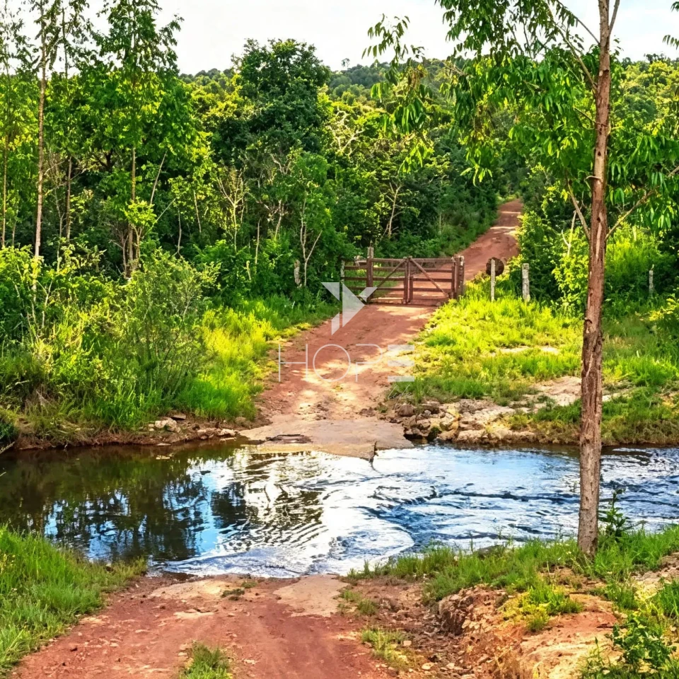 Fazenda à Venda com Aptidão Pecuária e Florestal – 513 Hectares – Brasilândia de Minas/MG