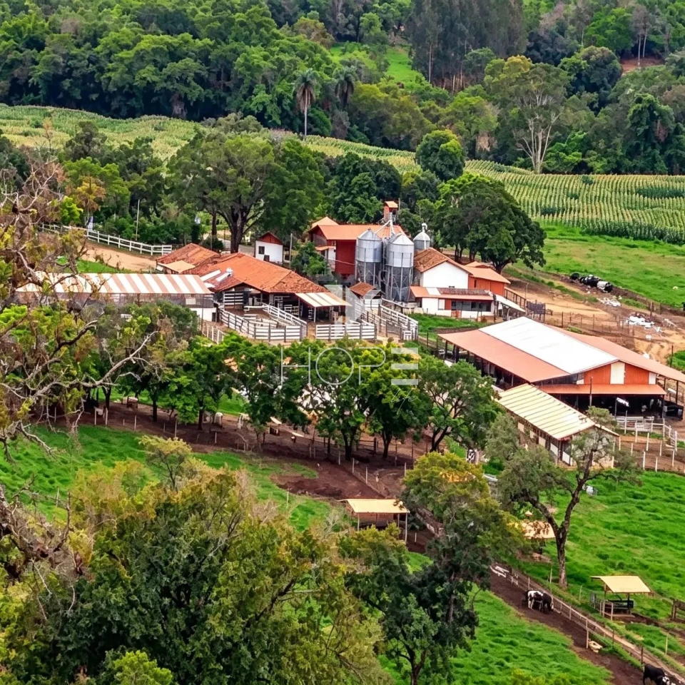 Imagens do imóveis Fazenda à Venda - Complexo Agroindustrial Completo – 181 Hectares – Jequitibá/MG