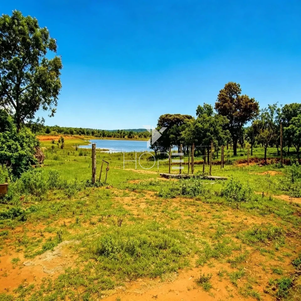 Imagens do imóveis Fazenda à Venda - Reflorestamento e Pecuária – 4.000 Hectares – São Romão/MG
