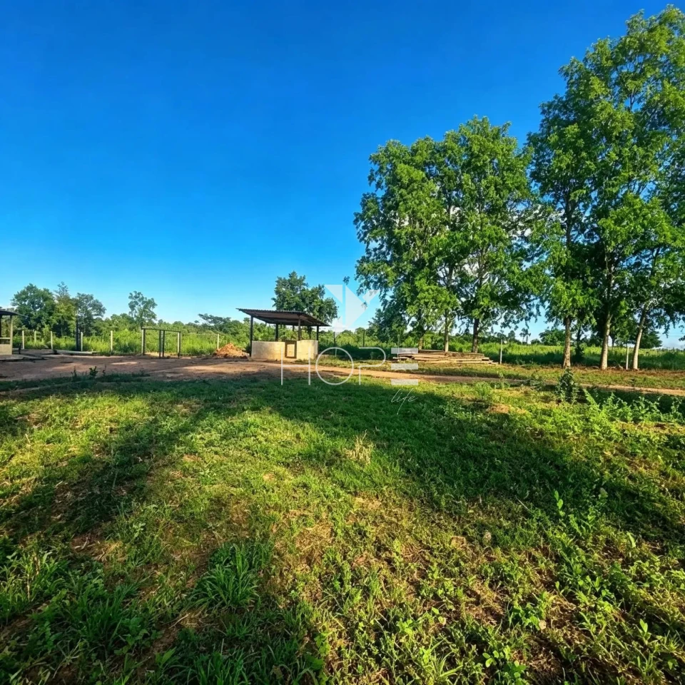 Imagens do imóveis Fazenda à Venda - Pecuária – 163 Hectares – Buenópolis/MG