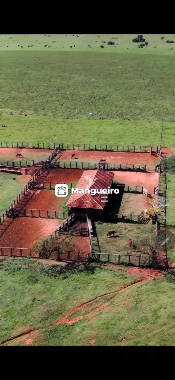Imagens do imóveis Fazenda à Venda com Aptidão Pecuária - Topografia Plana – 560 Alqueires – Rosana/SP - Fronteira SP - PR - MS