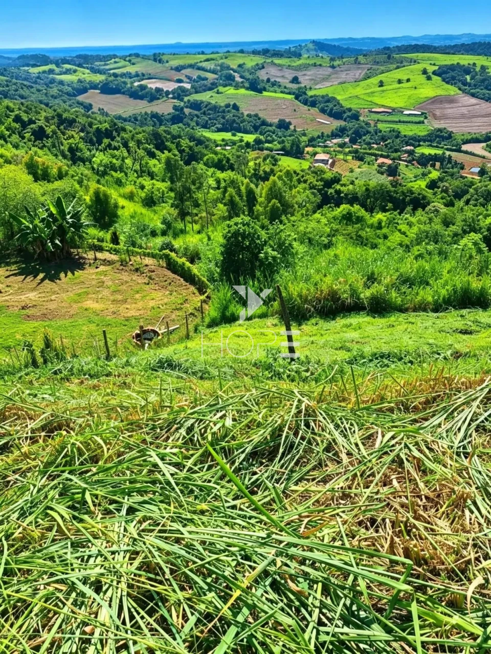 Imagens do imóveis Terreno em Condomínio à Venda – 7.300m² – Condomínio de Chácaras Itaúna – Ibiporã/PR