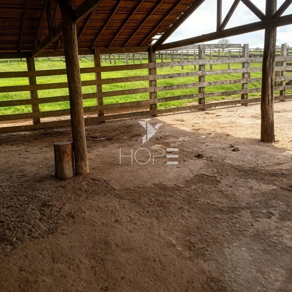 Imagens do imóveis Fazenda à Venda - 3km da Cidade – 183,77 Alqueires – Paranavaí – Paranavaí/PR