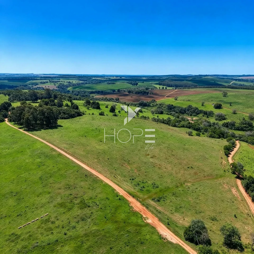 Imagens do imóveis Fazenda à Venda – 99,3 Hectares – Avaré/SP