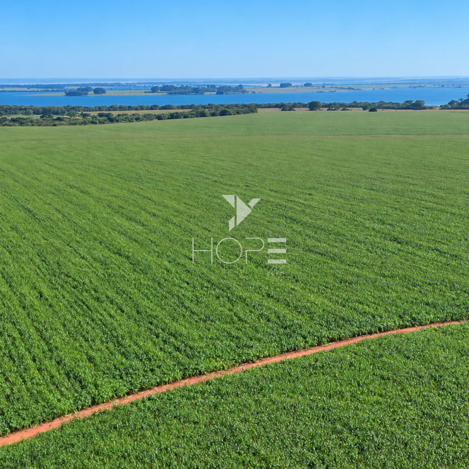 Imagens do imóveis Fazenda á Venda - 755 Hectares - Frente para a Represa do Rio Tibagi - Sertaneja/PR