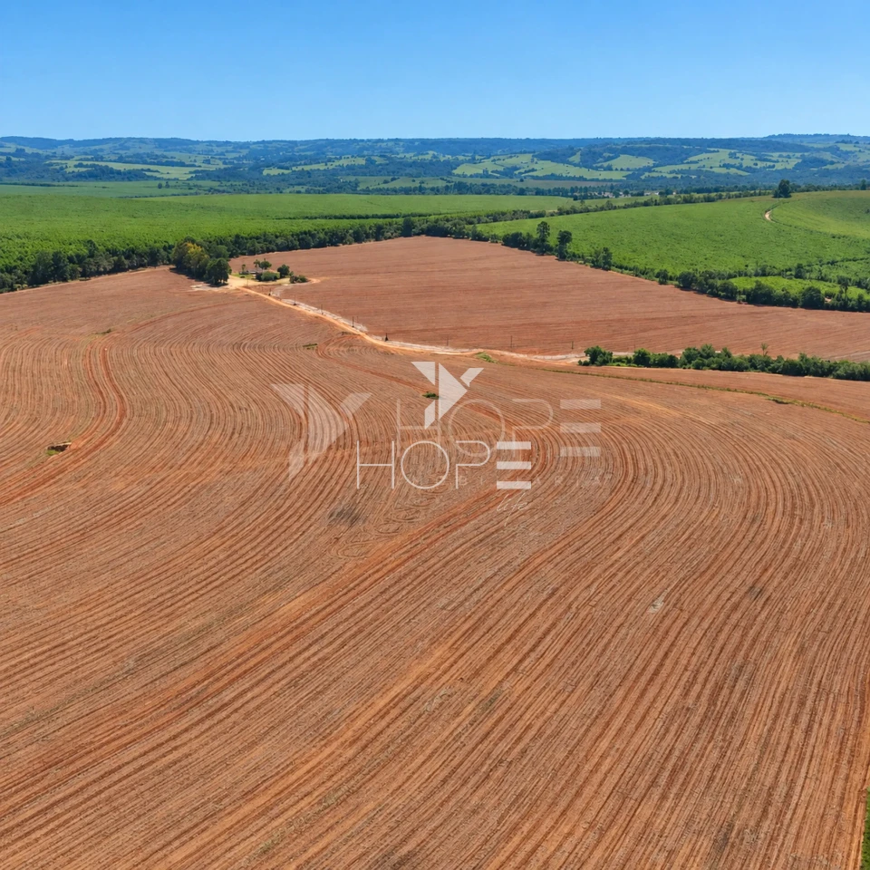 Imagens do imóveis Fazenda à Venda – Região de Itapetininga e Sorocaba – Interior – São Paulo/SP
