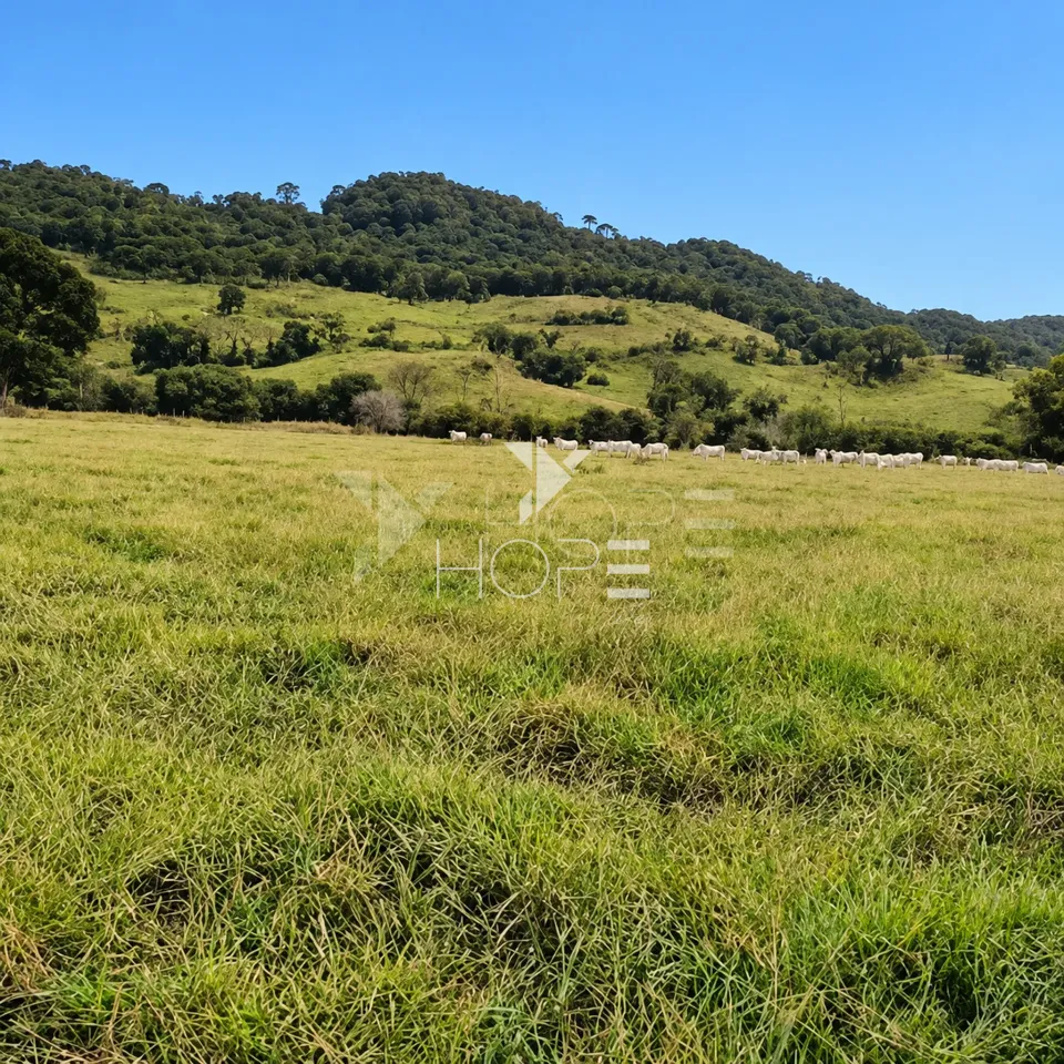 Imagens do imóveis Fazenda à Venda – Zona Rural – Rubiataba/GO