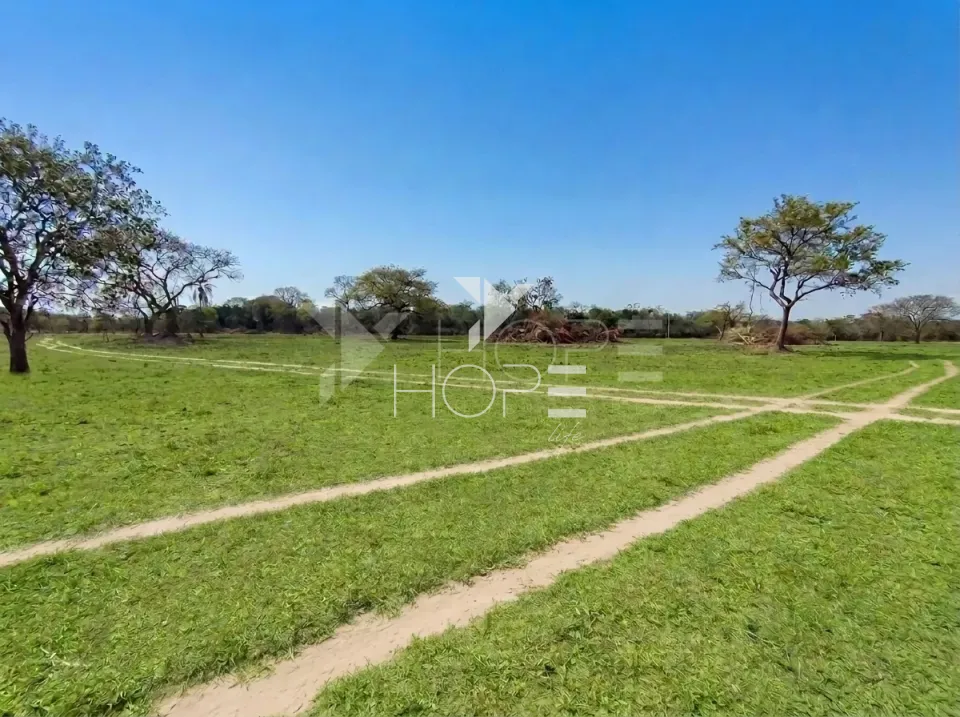 Imagens do imóveis Fazenda Pecuária à Venda – 1.000 Hectares – Estrutura para Pecuária – Poconé/MT