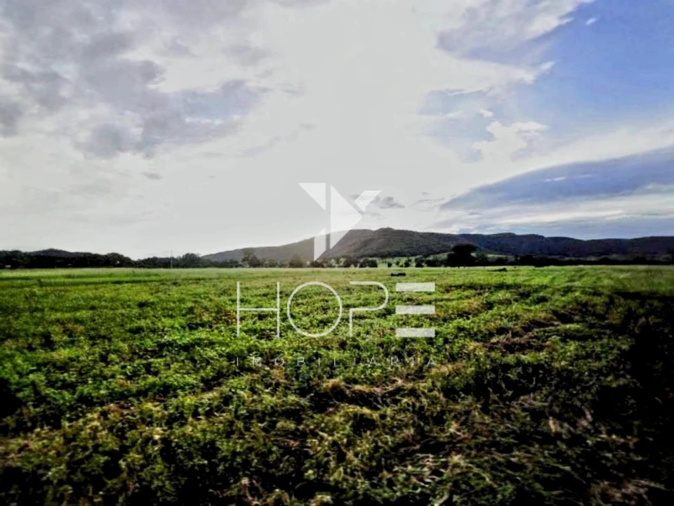 Fazenda à venda – 1.750 Alqueires (4.235 Hectares) – Alvorada do Norte/GO