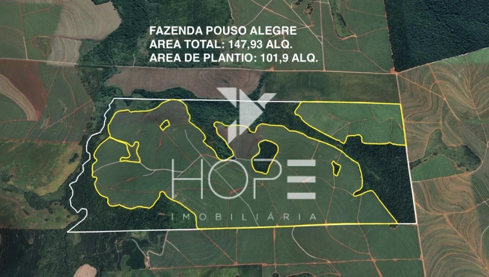 Imagens do imóveis Fazenda à venda 149 alqueires agricultura arrendada terra roxa – Porecatu – Paraná