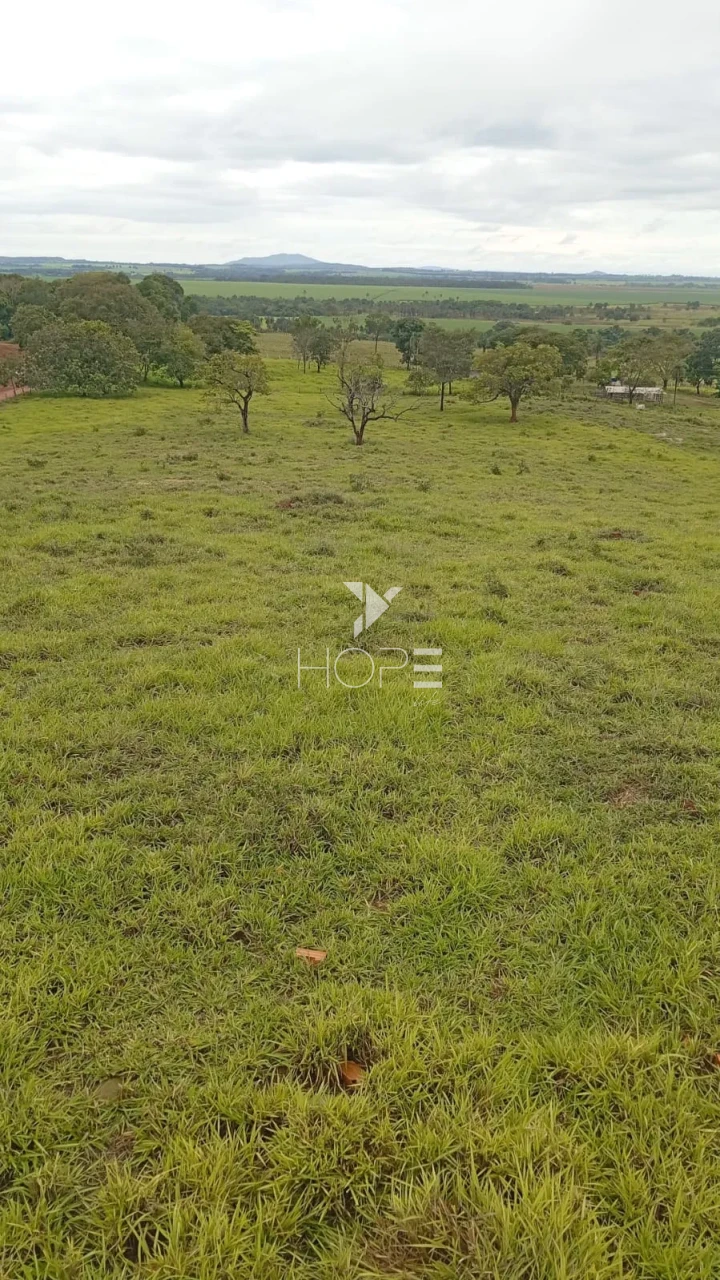Imagens do imóveis Fazenda à venda com 260 alqueires - 201 formados - confinamento - apta para pivô - Mozarlândia GO