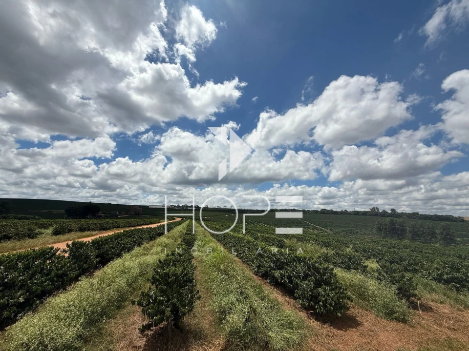 Imagens do imóveis fazenda cafeeira à venda 640 hectares irrigada – município de São Sebastião do Paraíso – Minas Gerais