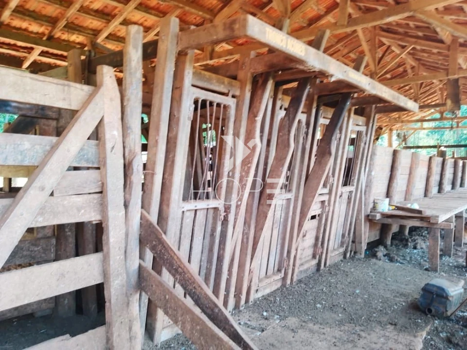 Fazenda à venda com 76 alqueires - pecuária com potencial agrícola - Guaravera - Londrina PR
