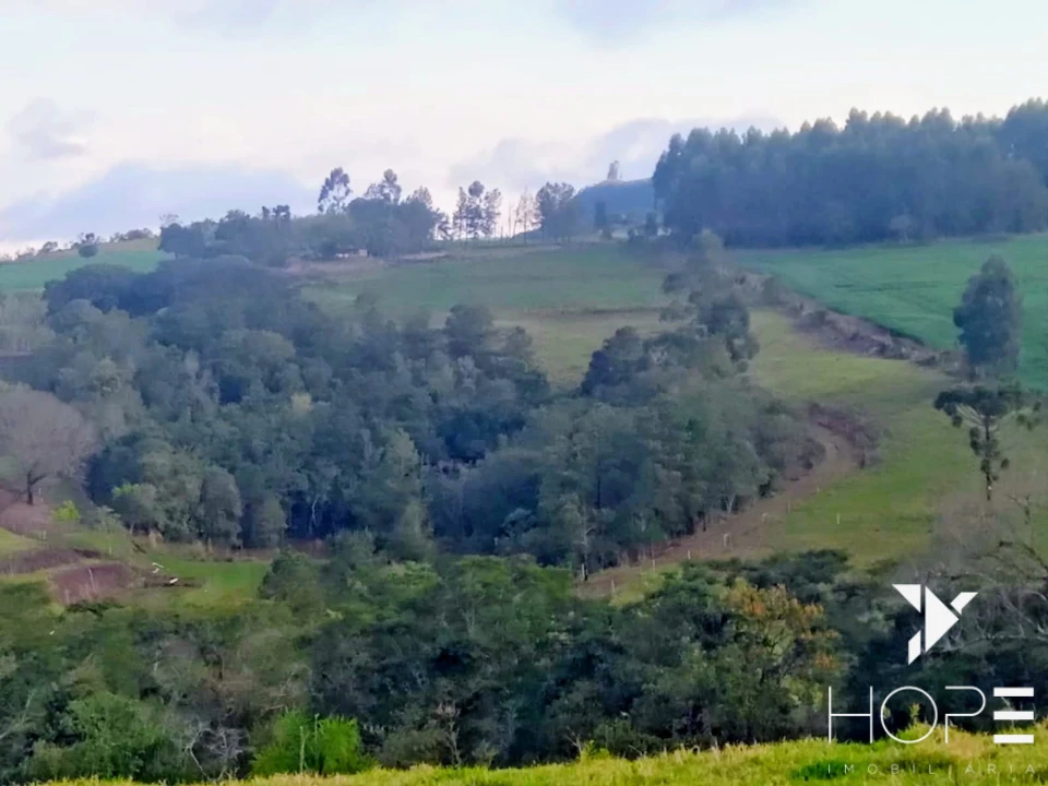 Imagens do imóveis Sítio à venda em Tamarana – Localização privilegiada na beira da estrada