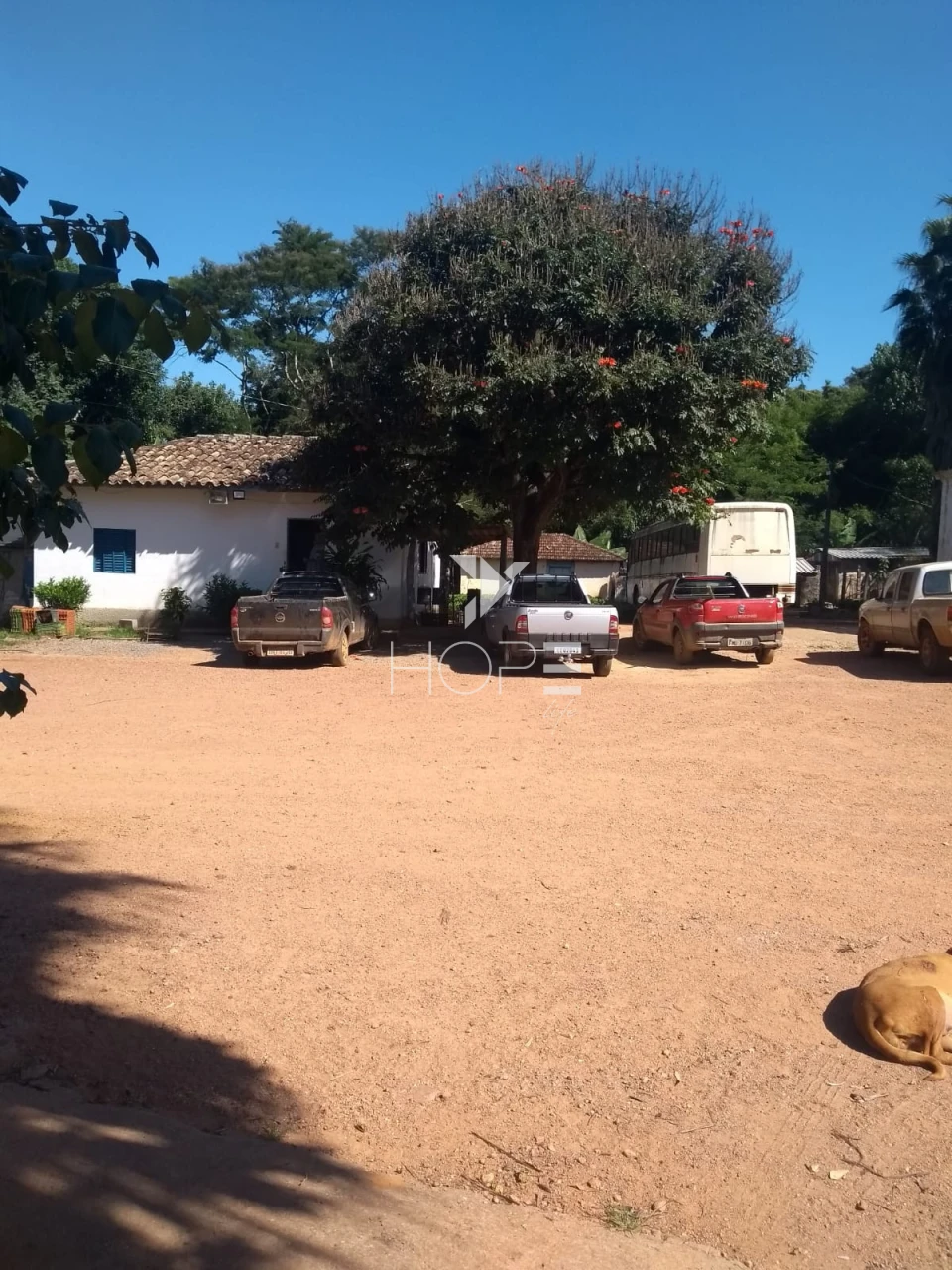 Imagens do imóveis Fazenda à venda 1.006 hectares cafeeira – região de Campos Altos – Minas Gerais