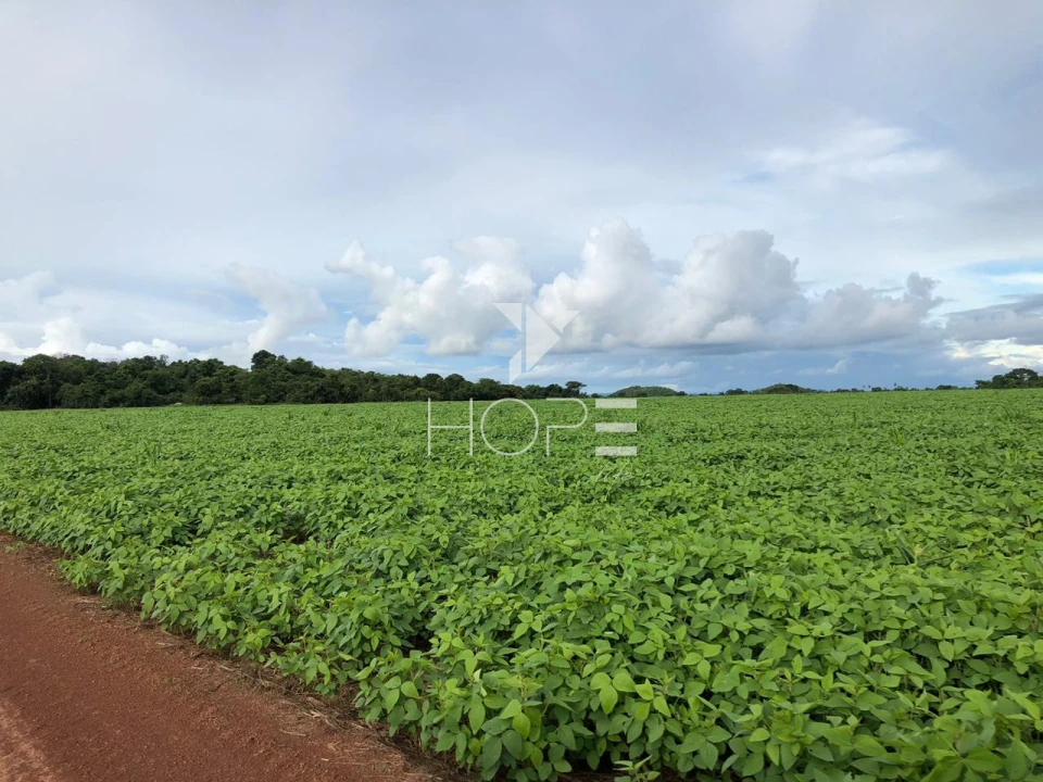 Imagens do imóveis Fazenda à venda 39.000 hectares dupla aptidão com armazém e pista de pouso – região de Confresa – Mato Grosso