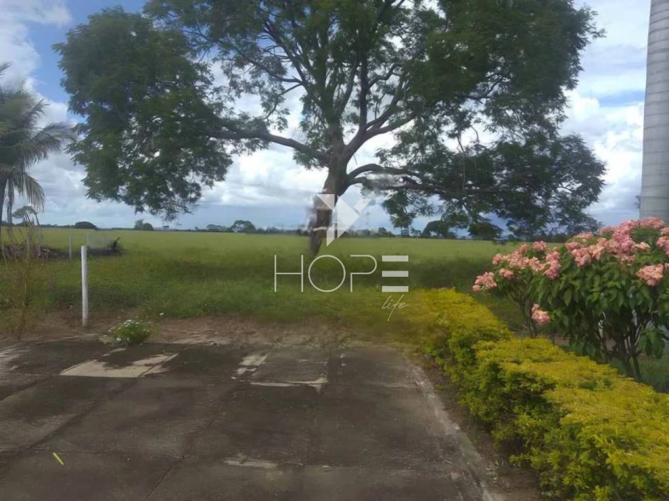 Imagens do imóveis Fazenda à venda 1.000 alqueires pecuária porteira fechada com pista de pouso – Formosa – Goiás