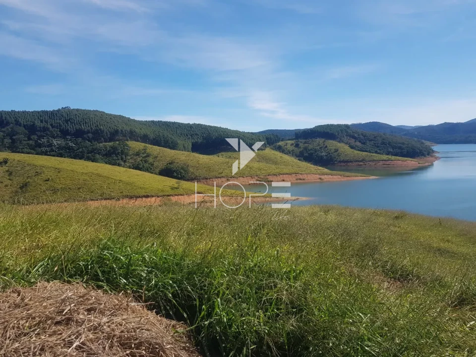 Imagens do imóveis Fazenda de eucalipto à venda com 124 alqueires - alto potencial florestal - Vale do Paraíba - Paraíbuna SP