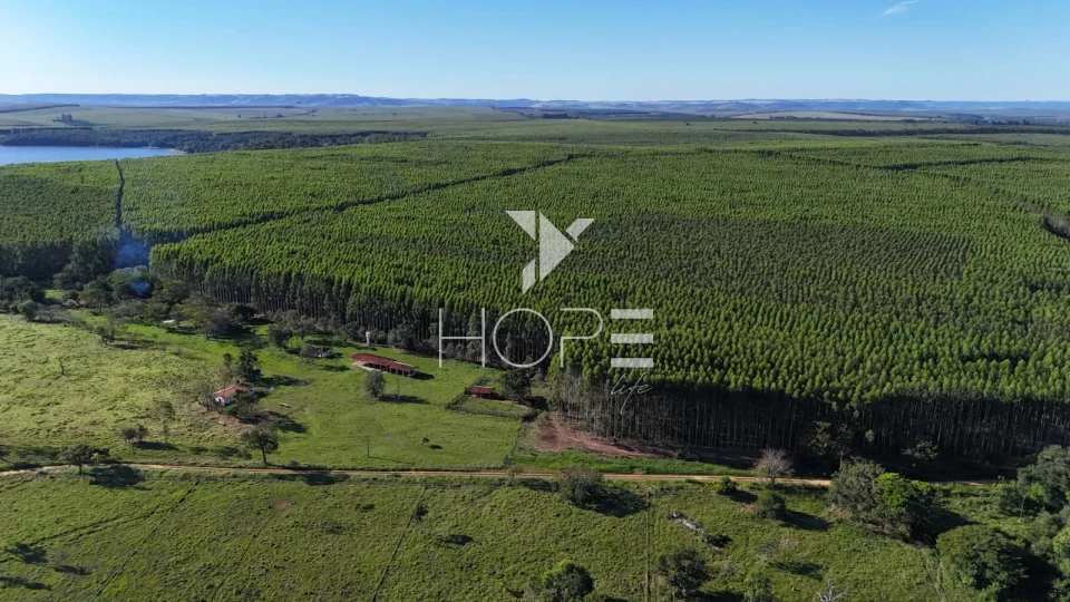 Imagens do imóveis Fazenda à venda com 148 alqueires - eucalipto e pastagem - margem para represa - Paranapanema SP