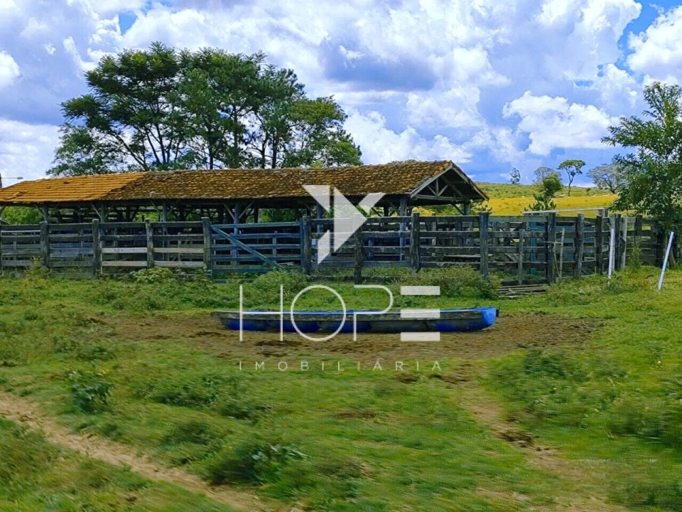 Fazenda à Venda na Região de Botucatu/SP – 294 Alqueires com Frente para a Rodovia Castelo Branco