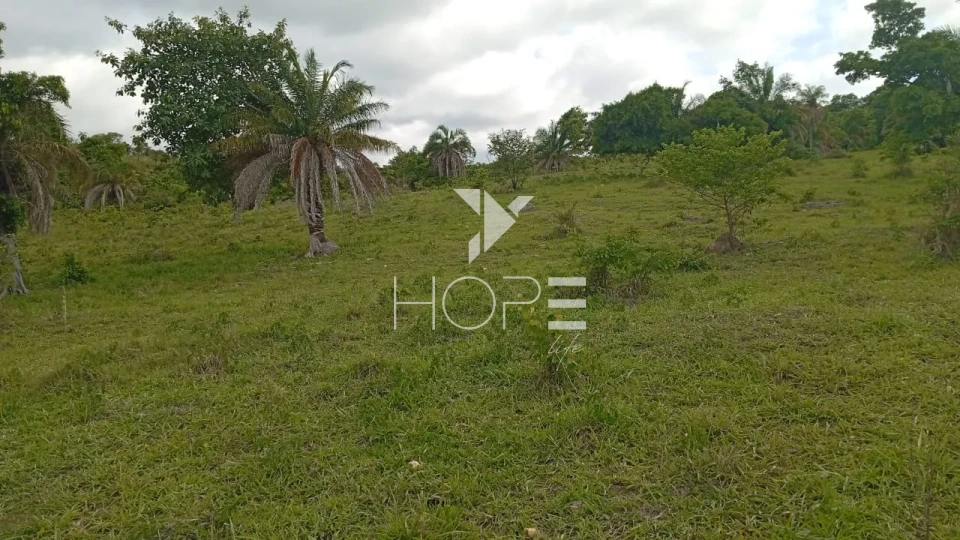 Imagens do imóveis Fazenda à venda com 72 alqueires - 55 em pasto - pronta - curral completo - região de Morro Agudo - Faina GO