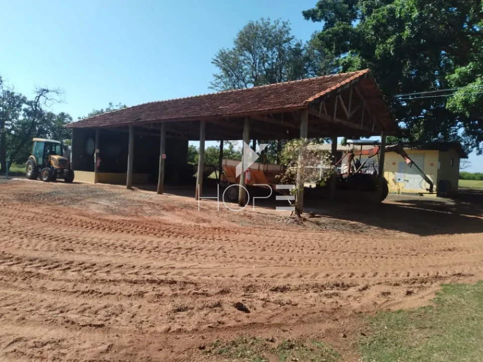 Imagens do imóveis Fazenda de laranja à venda com 77.5 alqueires - 77.150 pés - certificado para exportação - Região de Marília SP