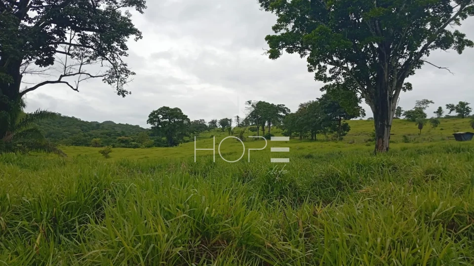 Imagens do imóveis Fazenda à venda com 260 alqueires - 201 formados - confinamento - apta para pivô - Mozarlândia GO