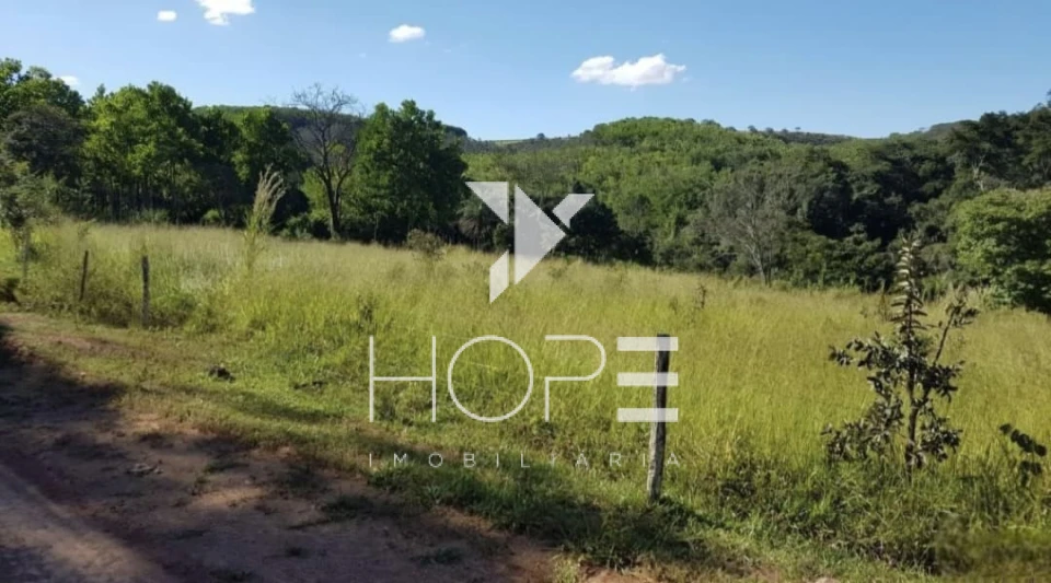 Imagens do imóveis Fazenda Dupla Aptidão - 112 Alqueires - Água Fria de Goiás GO - 542 Hectares - Boa de Água  - Eucalipto e Acácia