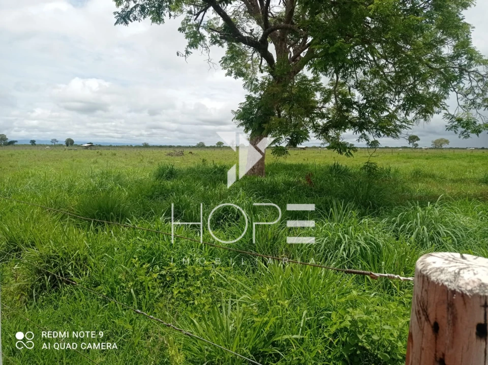 Fazenda à Venda em Formosa/GO – 1.002 Alqueires – Dupla Aptidão – Porteira Fechada