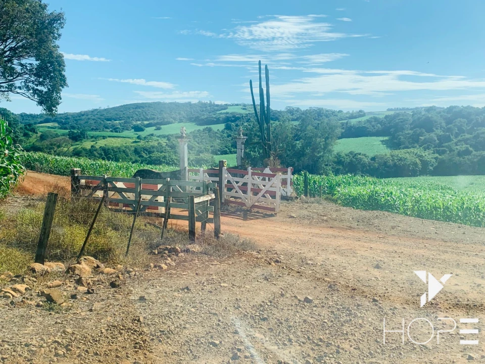 Imagens do imóveis Fazenda à Venda – 84 Alqueires – Sertanópolis/PR
