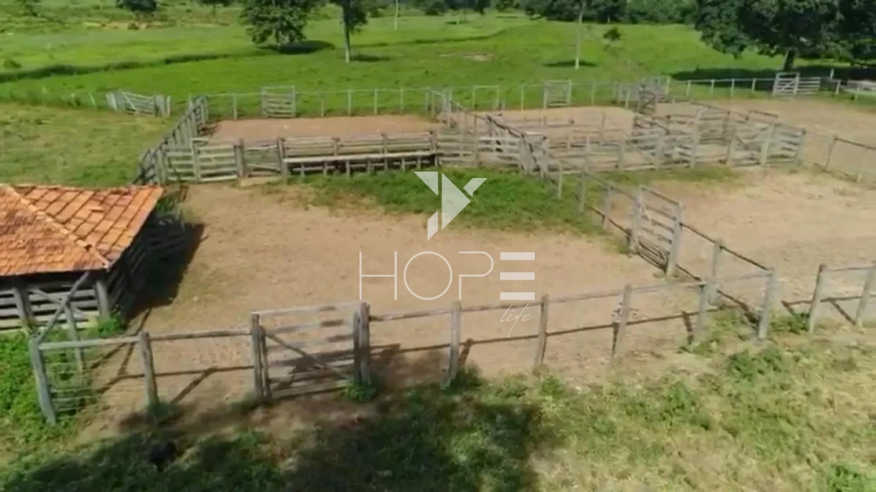 Imagens do imóveis Fazenda de dupla aptidão à venda com 1.765 alqueires - 8.543 hectares - porteira fechada - Alvorada do Norte GO