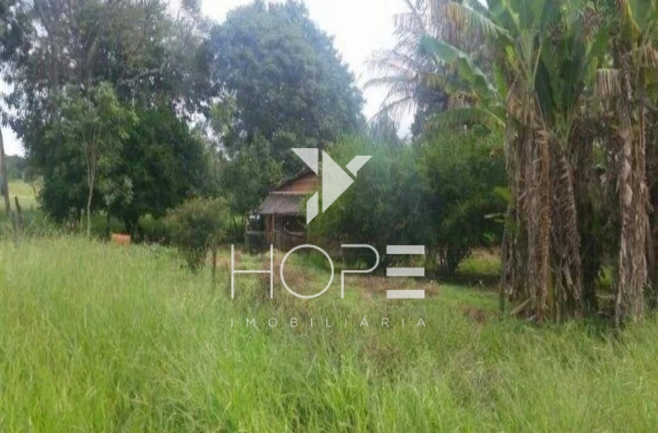 Imagens do imóveis Fazenda à Venda - 19 Alqueires - Dupla Aptidão - Região de Prata MG - Entre Prata e Uberlândia - Triângulo Mineiro