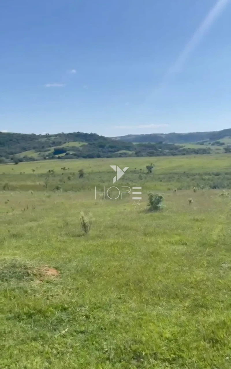 Imagens do imóveis Fazenda à venda com 204.5 alqueires - pecuária bovina - estrutura completa - região de Marília SP
