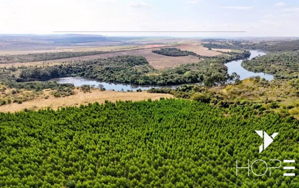 Fazenda com Eucalipto à Venda em Itu/SP – Renda Garantida com Arrendamento à Suzano