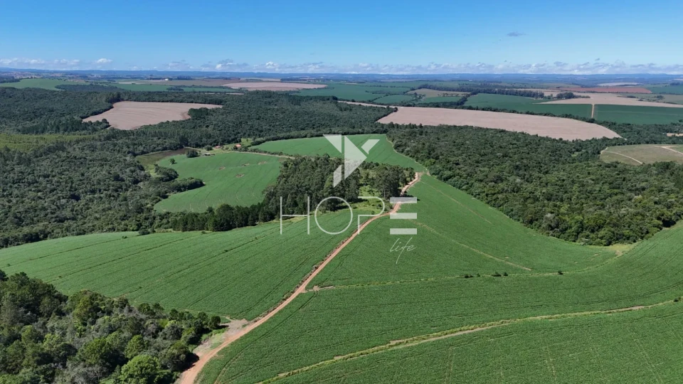 Imagens do imóveis Fazenda à venda com 75 alqueires (181.5 hectares) - agricultura e eucalipto - São Miguel Arcanjo SP