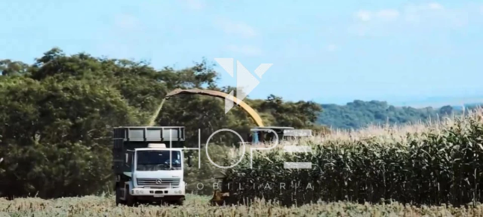 Fazenda à Venda – Região de Londrina/PR – 1.390 Alqueires – Ativo Agropecuário Multifuncional