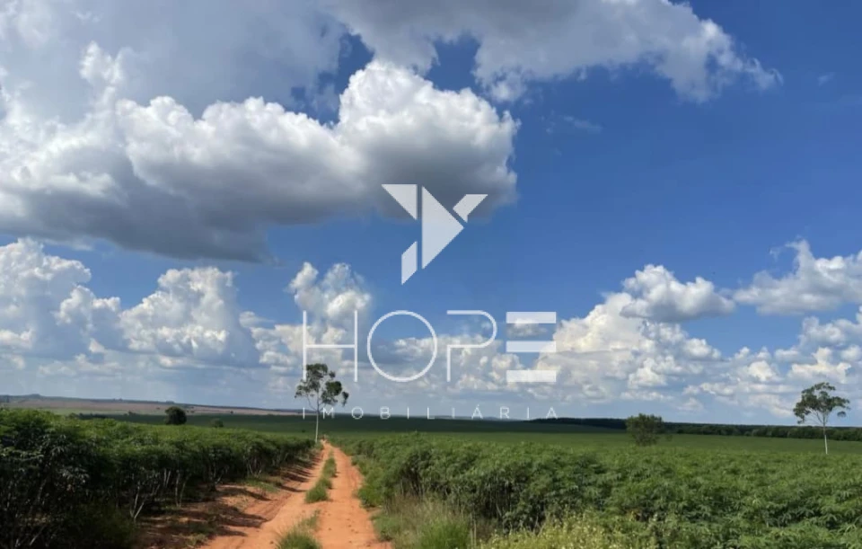 Imagens do imóveis Fazenda à Venda Proximo a Marília/SP – 146 Alqueires – 90% Aproveitamento – Rica em Água